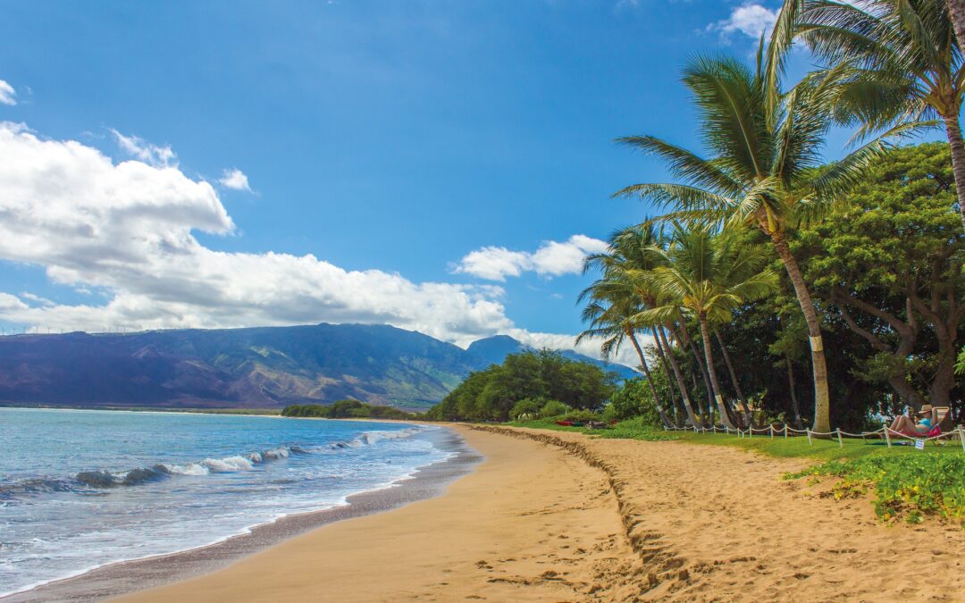 O .NET MAUI está chegando! Seu ambiente está preparado?